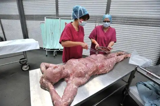 「人肉专卖店」伦敦血淋淋开卖