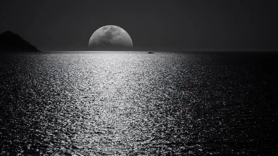 有没有好看的深海壁纸?