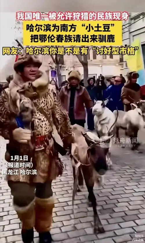 哈尔滨摔出王炸,为南方"小土豆"把鄂伦春族请出来驯鹿!