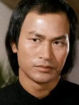 tu国家或地区中国香港资料影视作品43狄威,香港著名武打演员,出道较