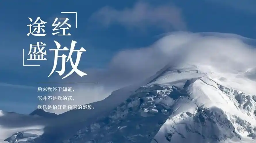 简约极美文字大图排版ppt模板