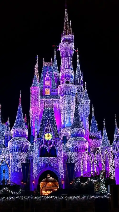 美丽的迪斯尼乐园,城堡,闪亮的灯光,夜晚