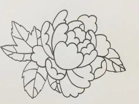 牡丹简笔画图大全彩色 牡丹简笔画简单美观_简笔画 - 绘画者图库