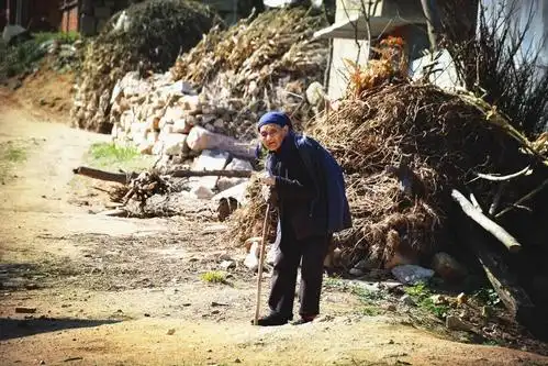 老母亲盼望儿子