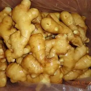 新鲜蔬菜 保鲜生姜 山东产新鲜小姜