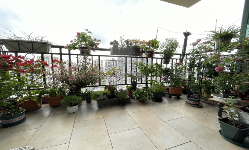 践行绿色生活方式 巴南255户家庭获评区级"绿色家庭""最美阳台(庭院)"