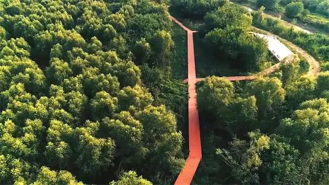 南京市栖霞区人民政府 黄天荡江滩湿地公园