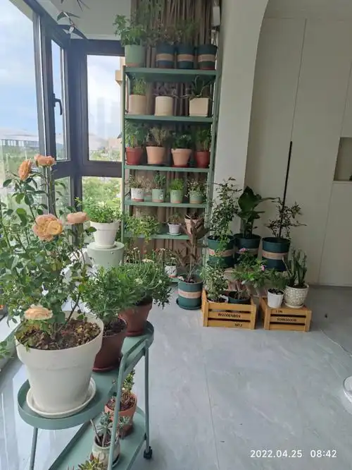 封闭阳台种花