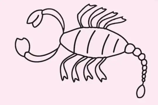 蝎子简笔画图片