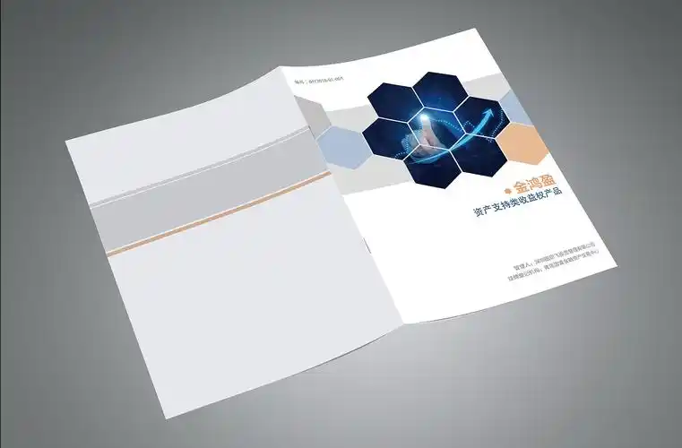 金融 基金 投资理财 封套 封面封底 宣传册