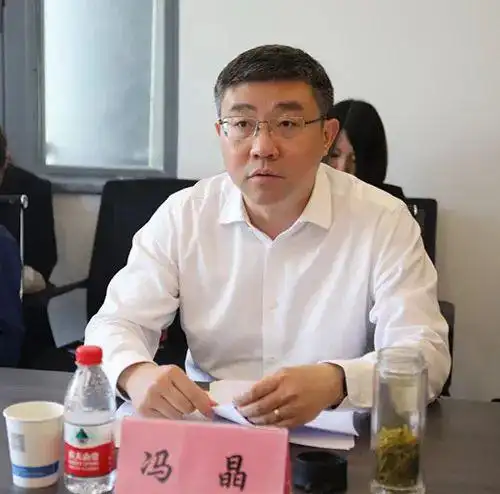 区委副书记代区长冯晶一行调研丁兰智慧小镇客厅建设