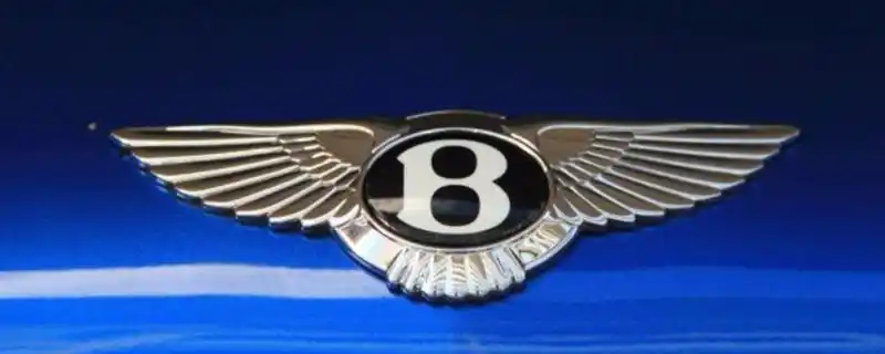 类似鹰一样的标志的车老鹰展翅车标是什么车