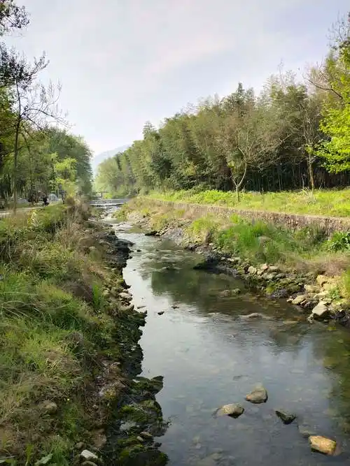 村北面的小河    河水清澈,绿荫岸边.