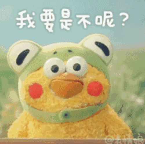 新晋网红鹦鹉兄弟今年春节最火的表情包就是他们啦