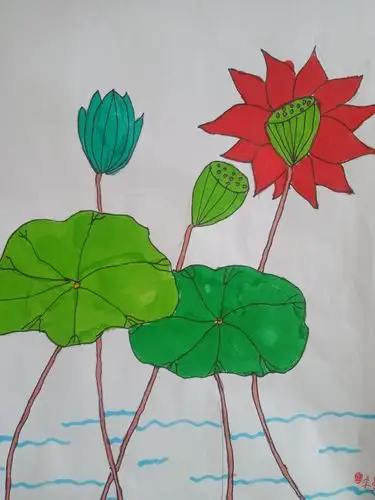 四年级美术课堂《美丽的荷塘》作品展播