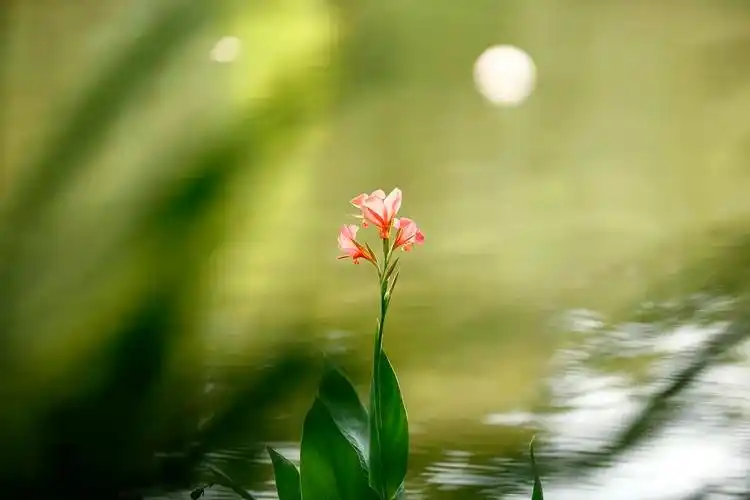 尝试着用极简又温柔的小字让自己的内心平静,大胆的写出岁月最美的