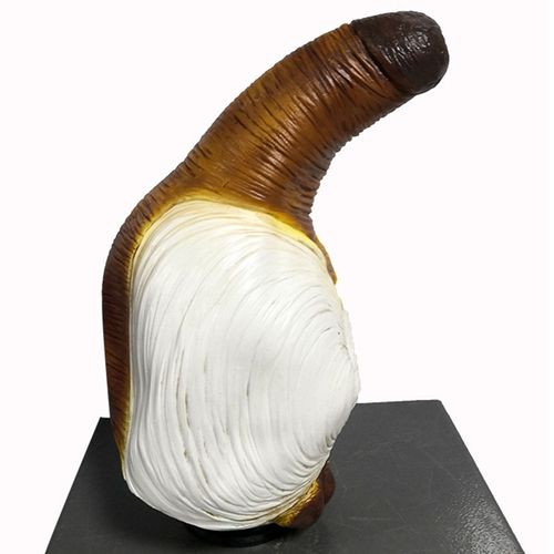 水生动物贝壳象拔蚌搞怪面具皇帝蚌女神蛤乳胶头套狂欢节整蛊道具