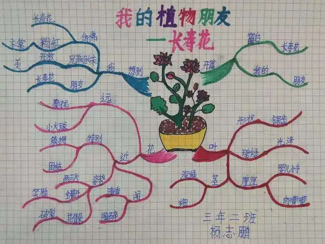 翰墨小学 三年二班 杨志鹏 思维导图