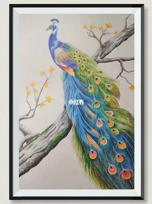 彩铅画彩铅动物孔雀的羽毛好漂亮