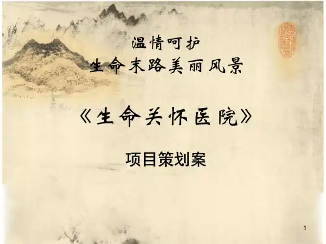 生命关怀医院招商策划案.ppt