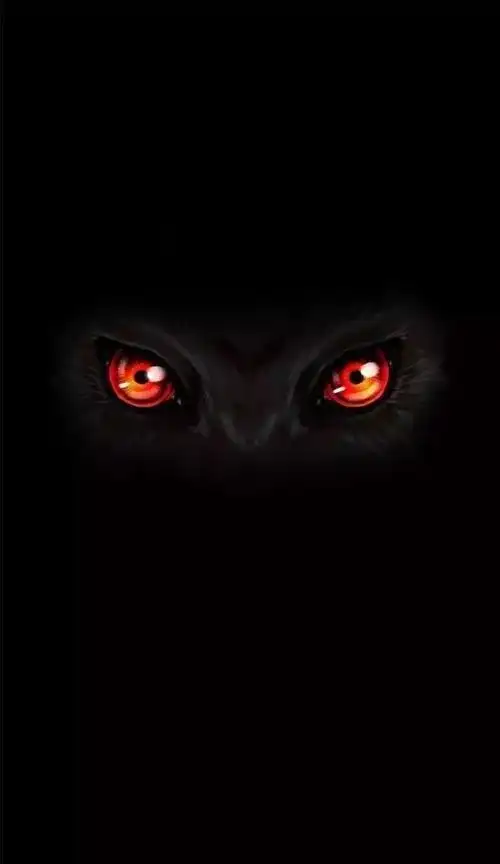 每日壁纸iphone亮屏开灯壁纸