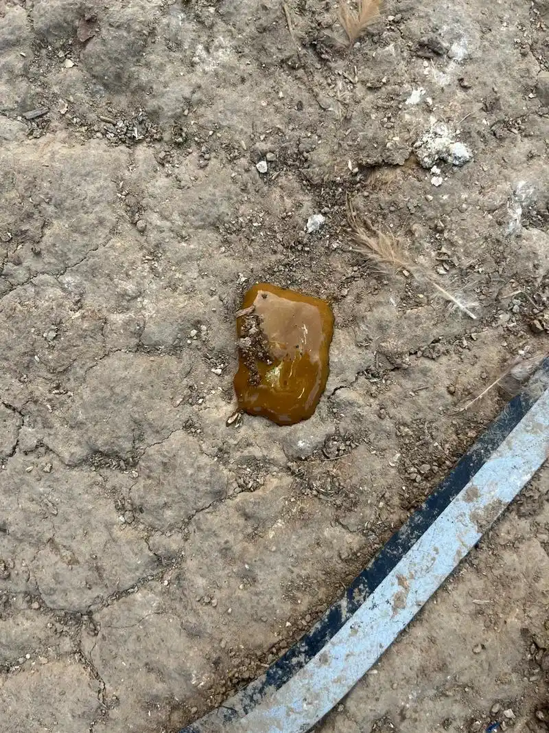 哪位大神能帮我一下啊   鸡这种黄色粪便是什么引起的怎么形成 - 抖音