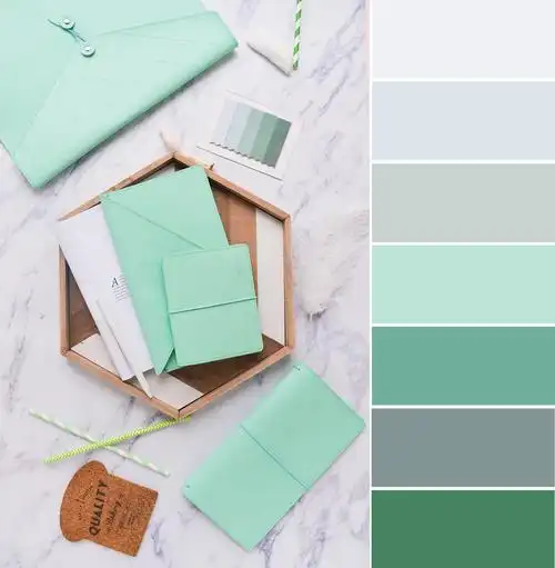 【拾一缕色,慰一季阳光】----莫兰迪色系色卡