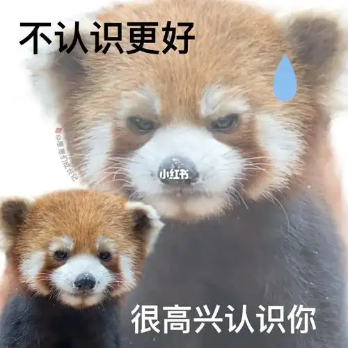 笔记灵感  #小熊猫  #萌宠  #表情包  #我的萌宠