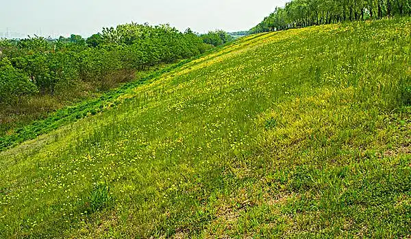 草坡图片_草坡图片大全_草坡图片素材