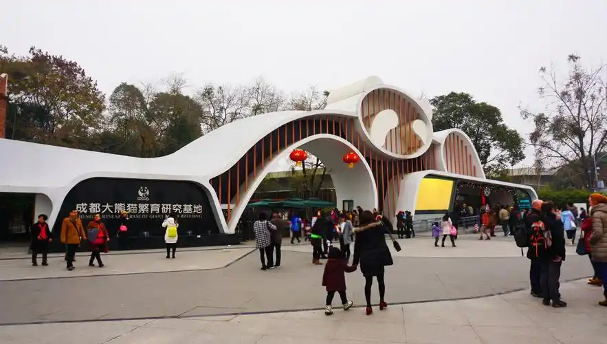 厉害了word哥!都江堰这条交通方式简直逆天!