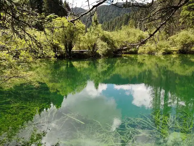 四川阿坝藏族自治洲松潘县牟尼沟——世界遗产,国家aaaaa景区.