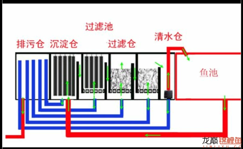 鱼池设计图(初稿)