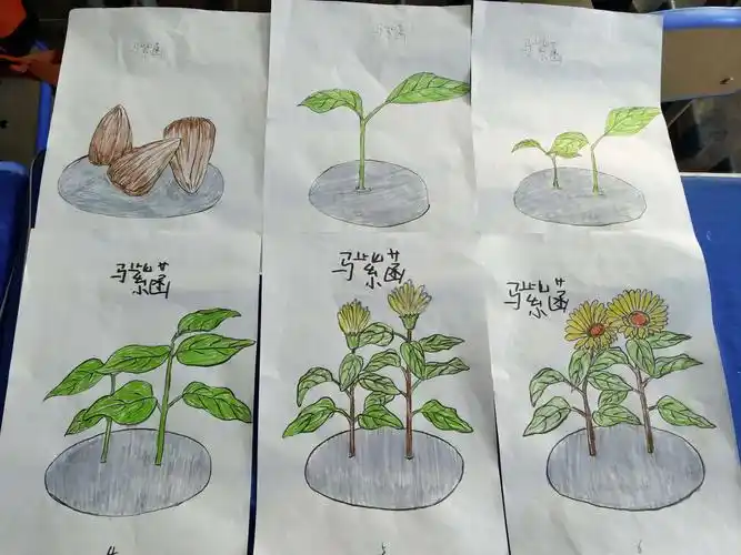 学会感恩 与爱同行 ――东小一(7)中队