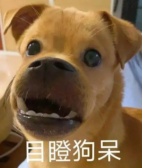 最近看了个新闻,真是笑死人,和你们分享下.