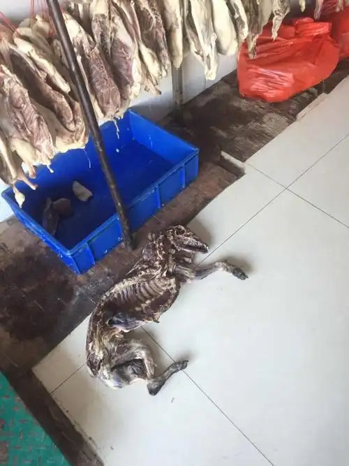 数九寒天合肥卖狗肉的餐馆生意火爆02市民小心吃到毒狗肉