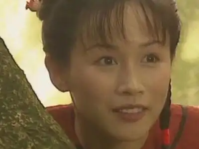 雪山飞狐(陈锦鸿1999年主演电视剧)_百度百科
