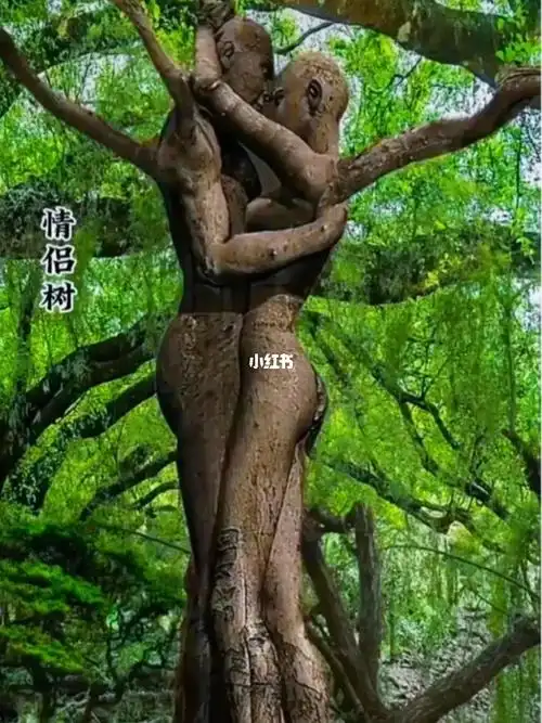情侣树