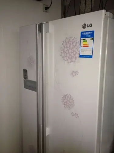 lg冰箱问题