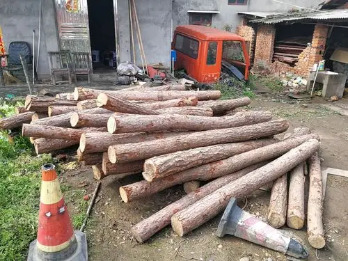 2018年3月26日,枝江市森林公安局对安福寺镜内的木材经营加工场所存放