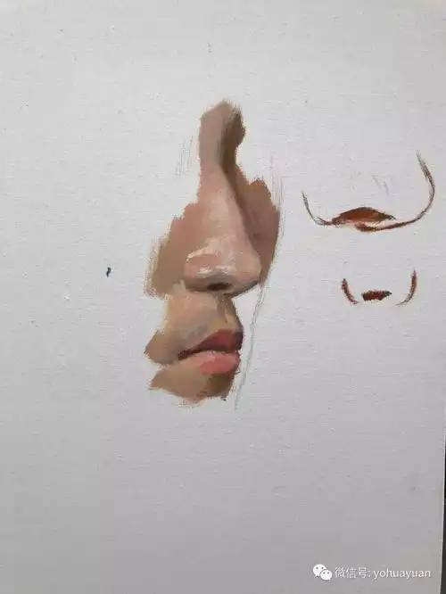 油画人像教学五官