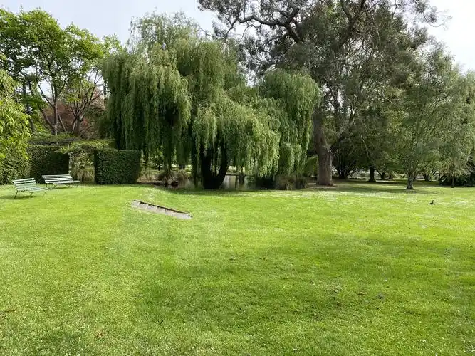 大片绿色草坪特别养眼