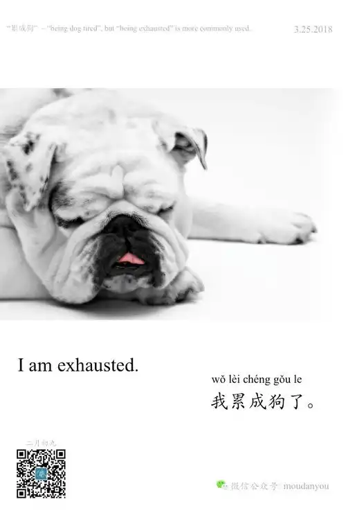 dog tired 英语也有累成狗这种说法? https://mp.weixin.qq.