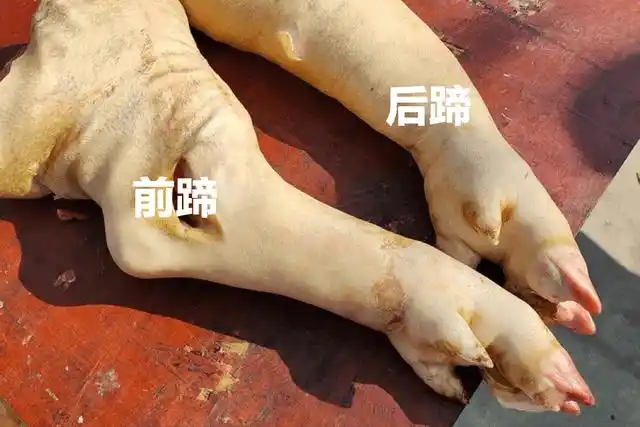 买猪蹄,你会区分"前蹄"和"后蹄"吗?