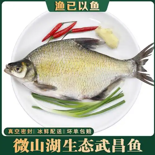 一折武昌鱼新鲜