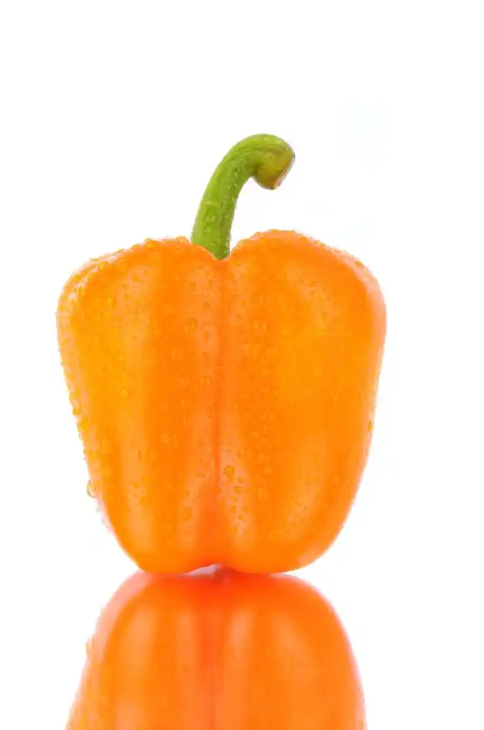 橙色甜椒,用水的单一的橙色灯笼椒滴眼液用反射白色背景上