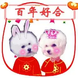 新婚祝福表情合集|新婚快乐