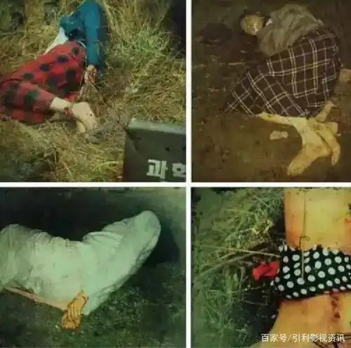 33年前,韩国京畿道华城郡台安邑半径2公里内,有一起连环杀人案,专门