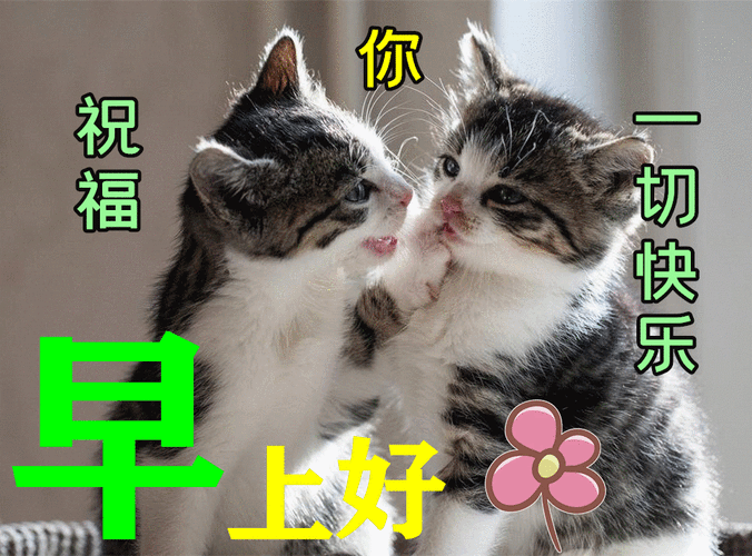 最美早上好问候语及暖心话! - 上午好最美祝福语 - 实验室设备网