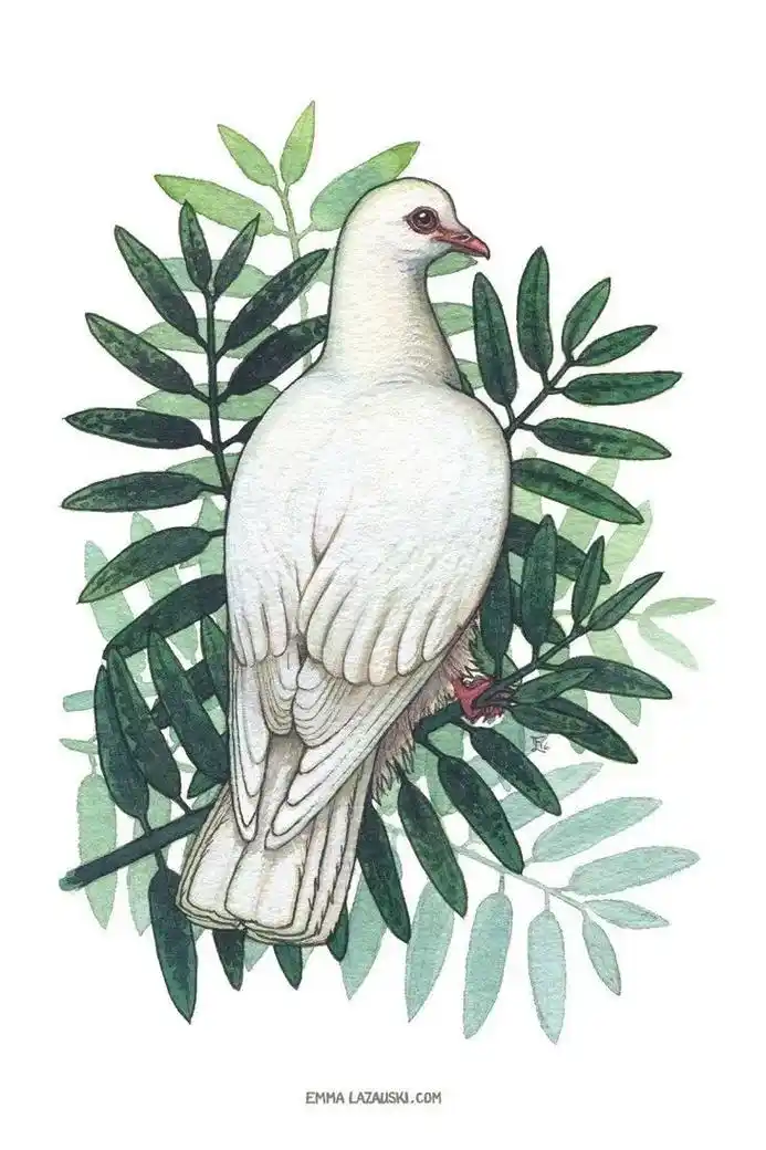 各种鸽#记得画图  - 抖音