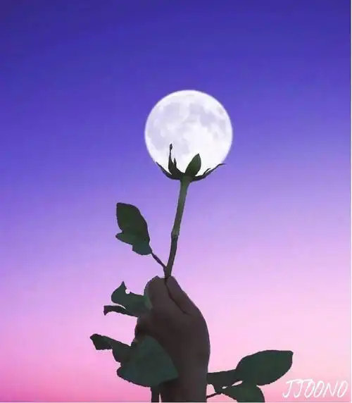 分享一波微信相册封面持续更新